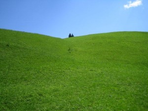 Imprejurimi - Bucovina (1)