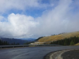 Imprejurimi - Dor de Bucovina (1)