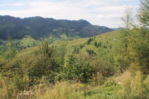 Imprejurimi - Dor de Bucovina (19)