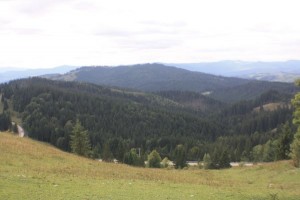 Imprejurimi - Dor de Bucovina (20)