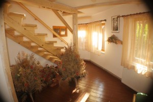 Dor de Bucovina - Interior (2)