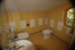 Dor de Bucovina - Interior (21)