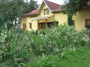 Dor de Bucovina - Exterior (10)