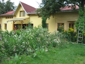 Dor de Bucovina - Exterior (11)