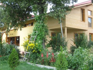 Dor de Bucovina - Exterior (13)