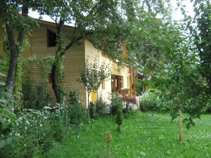 Dor de Bucovina - Exterior (4)