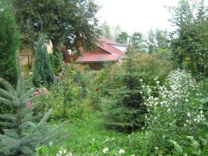 Dor de Bucovina - Exterior (6)