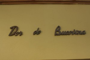 Dor de Bucovina - Exterior (9)