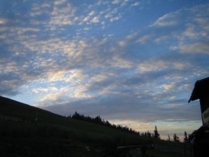 Imprejurimi - Bucovina (9)